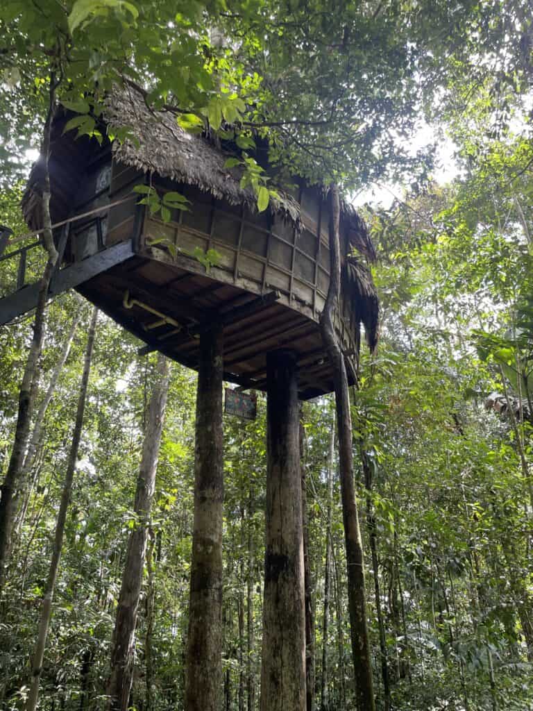 jungle-cabin