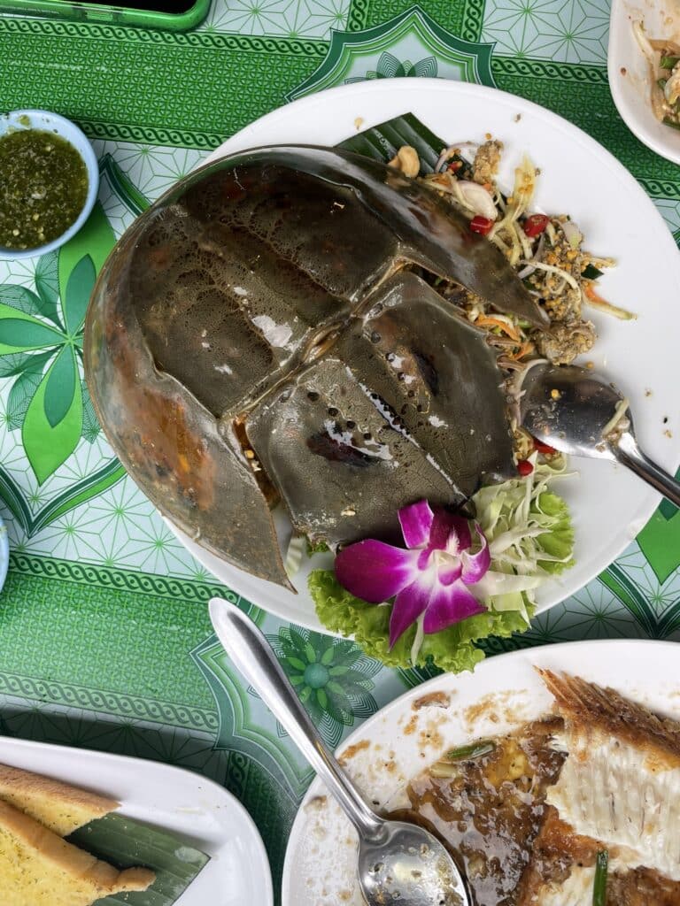 horseshoe crab Weird foods eaten all around the world
