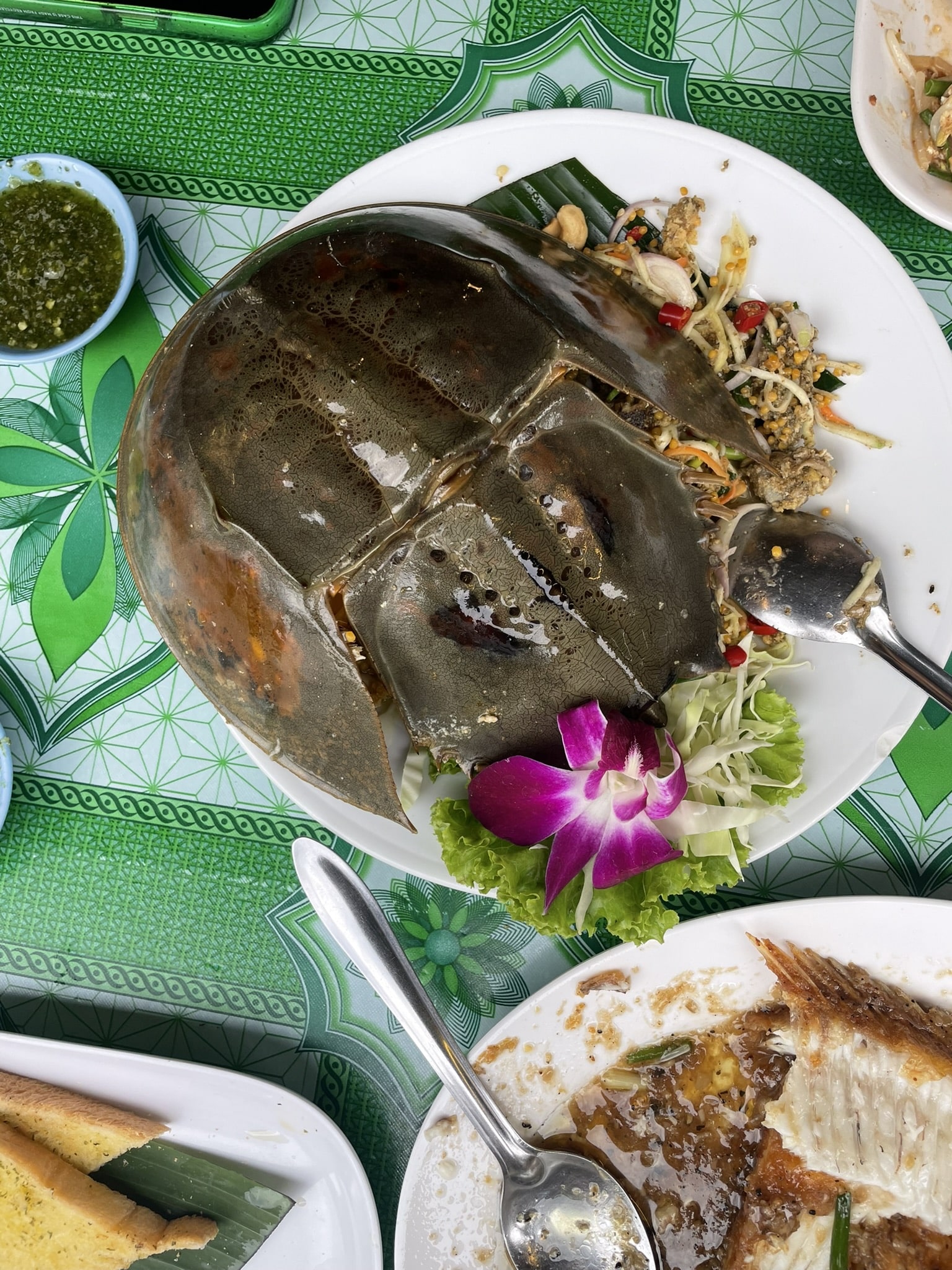 Top 5 Weird Foods Eaten Around the World