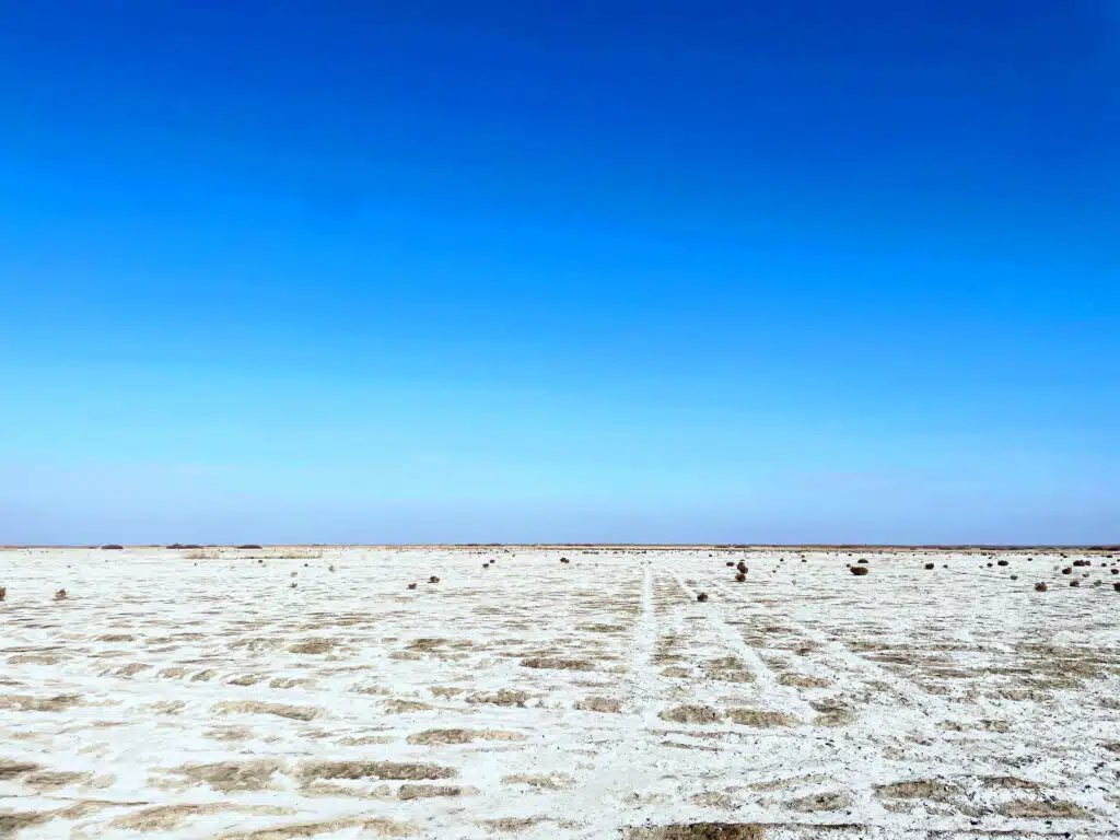 Aral Sea Lake 2025: A Devastating Transformation of Nature 5 salt desert