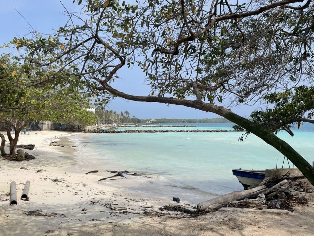 The Most Densely Populated Island in the World: 1 Hectare of Unforgettable, Literally Breathtaking Crowds 1 the-Most-Densely-Populated-Island-in-the-World