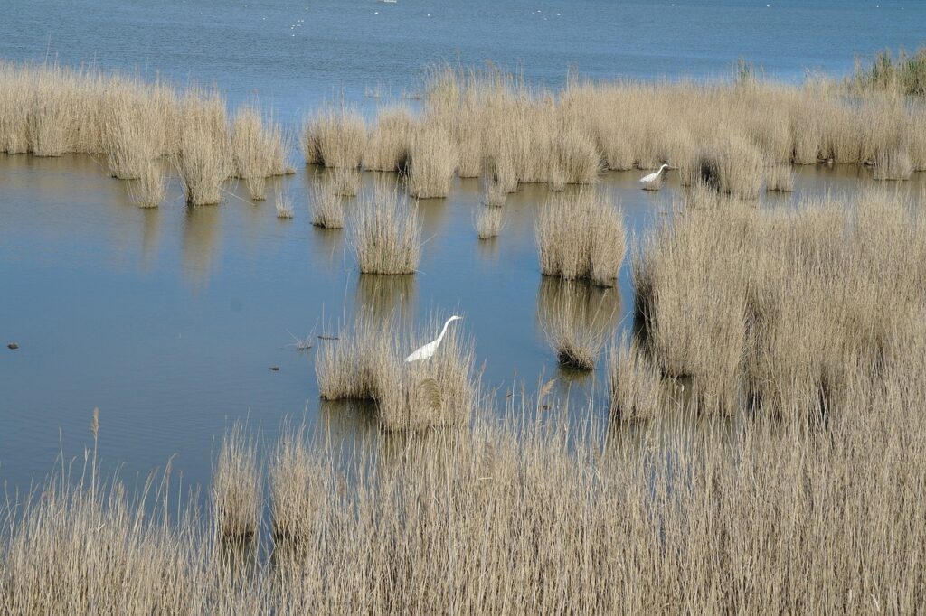 hidden-gems-in-spain-ebro-delta

