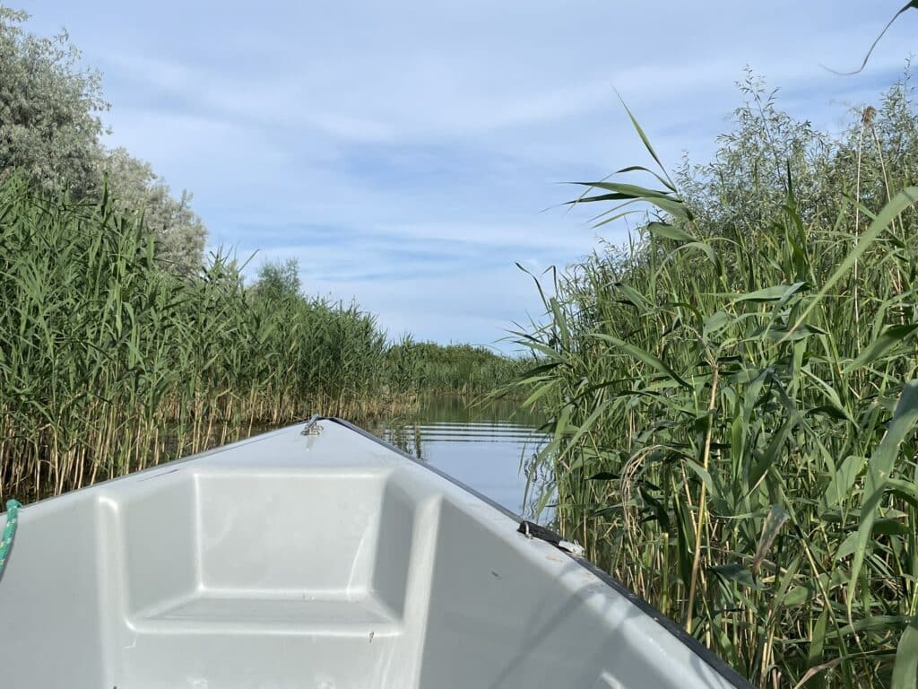 Dobrogea Danuba Delta