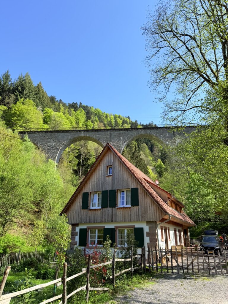 black forest mountains house 1
