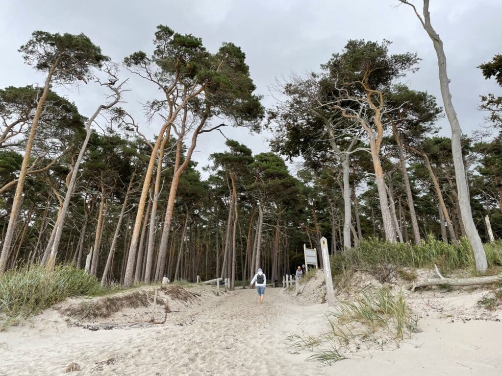 rugen-island-coast