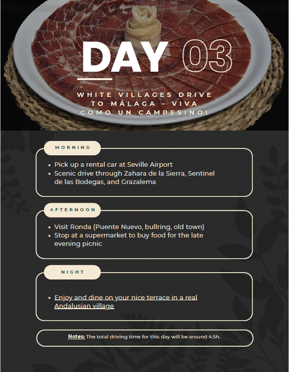 Sample simplified graphical itinerary layout (day-by-day overview)
