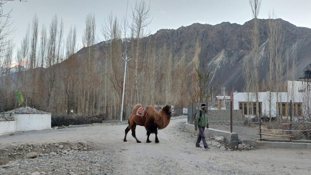 Leh Ladakh motorcycle trip
Himalaya adventure
Leh Ladakh road trip
Leh to Nubra Valley (incl. "distance" once)
Leh Ladakh solo bike trip
Best places to go in Asia
Khardung La Pass
Thiksey Monastery
Leh Ladakh solo bike trip