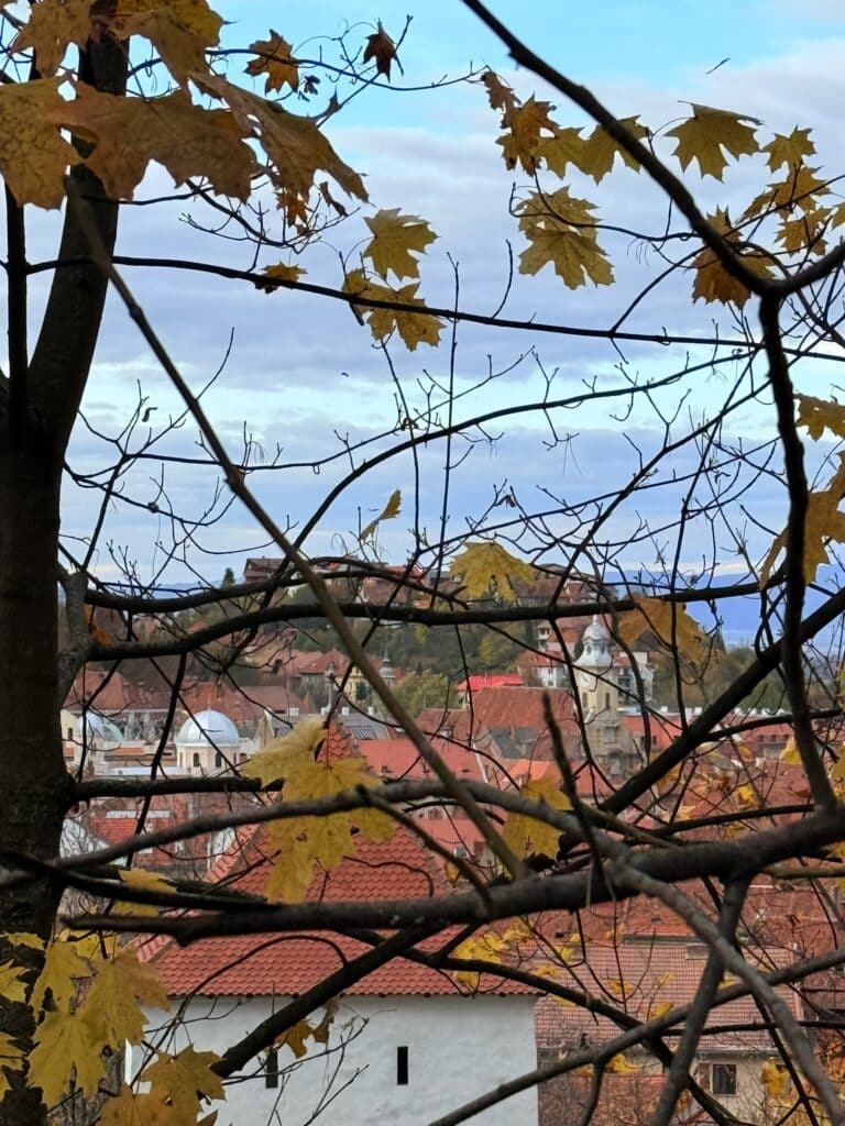 Autumn leaves in Brasov, Romania