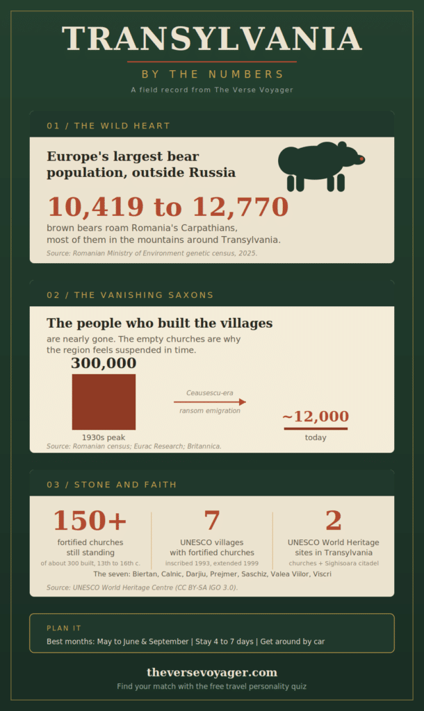 Best things to Do in Transylvania: The Complete 2026 Guide 2 Things to do in Transylvania infographic