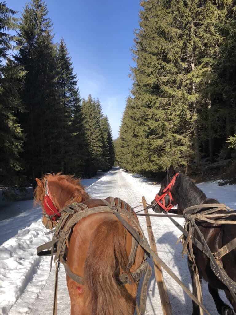 Best Places to Visit in Romania: The Complete Travel Guide 2026 8 tradition and authenticity in Romania