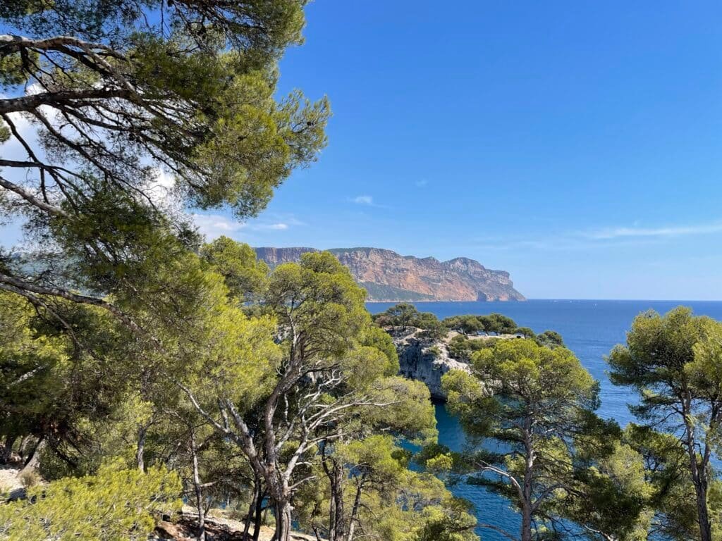 The 15 Best Places In France, Region By Region (An Honest Field Guide) 11 View from the walk towards a hidden beach in Calanque, France
