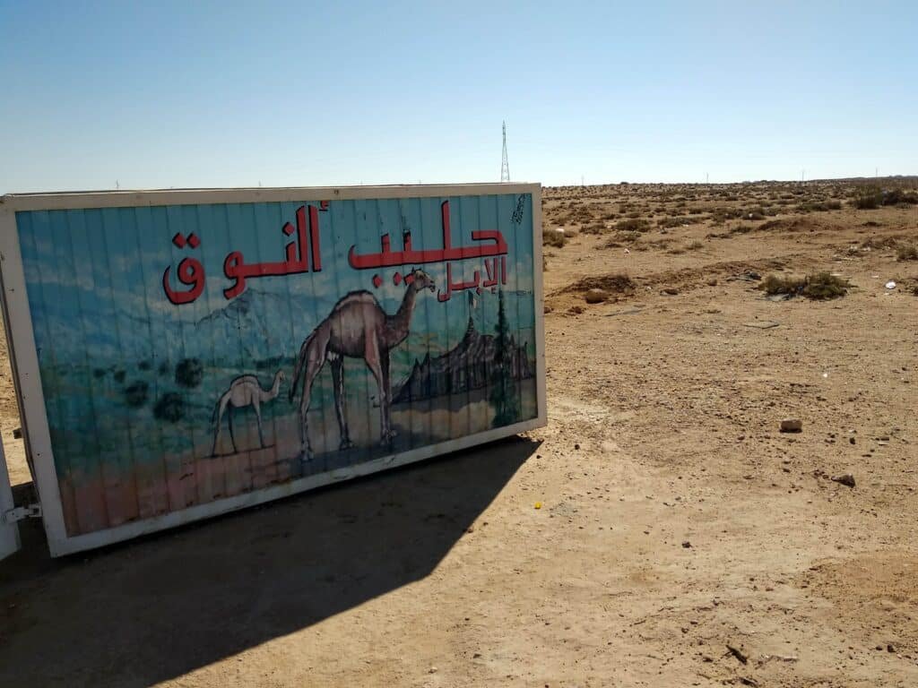 The Labyrinths of the M'zab Valley: In Search of the Cyclopes of Ghardaïa 14 Camel milk, berbers, living with Berbers in the Sahara