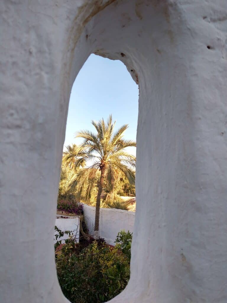 The Labyrinths of the M'zab Valley: In Search of the Cyclopes of Ghardaïa 3 View through a narrow arched window in a thick whitewashed Mozabite wall, framing a sunlit date palm and oasis garden in Algeria's M'zab Valley, a detail of traditional Berber Saharan architecture.