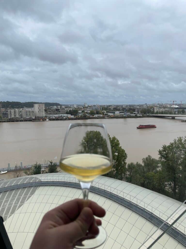 The 15 Best Places In France, Region By Region (An Honest Field Guide) 15 A glass of wine served with a view in Bordeaux