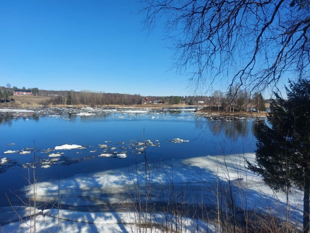Ice flowing down the river