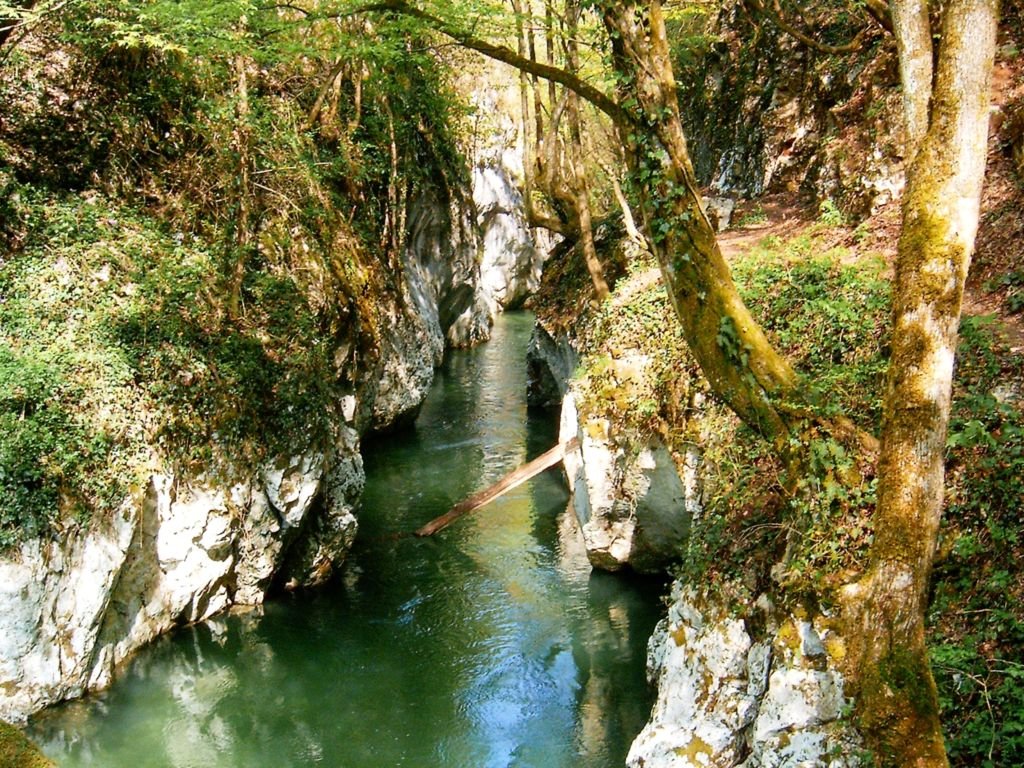 A Guide to Wild Romania: from the Carpathian Mountains to the Danube Delta 10 Cheile Carasului 16
