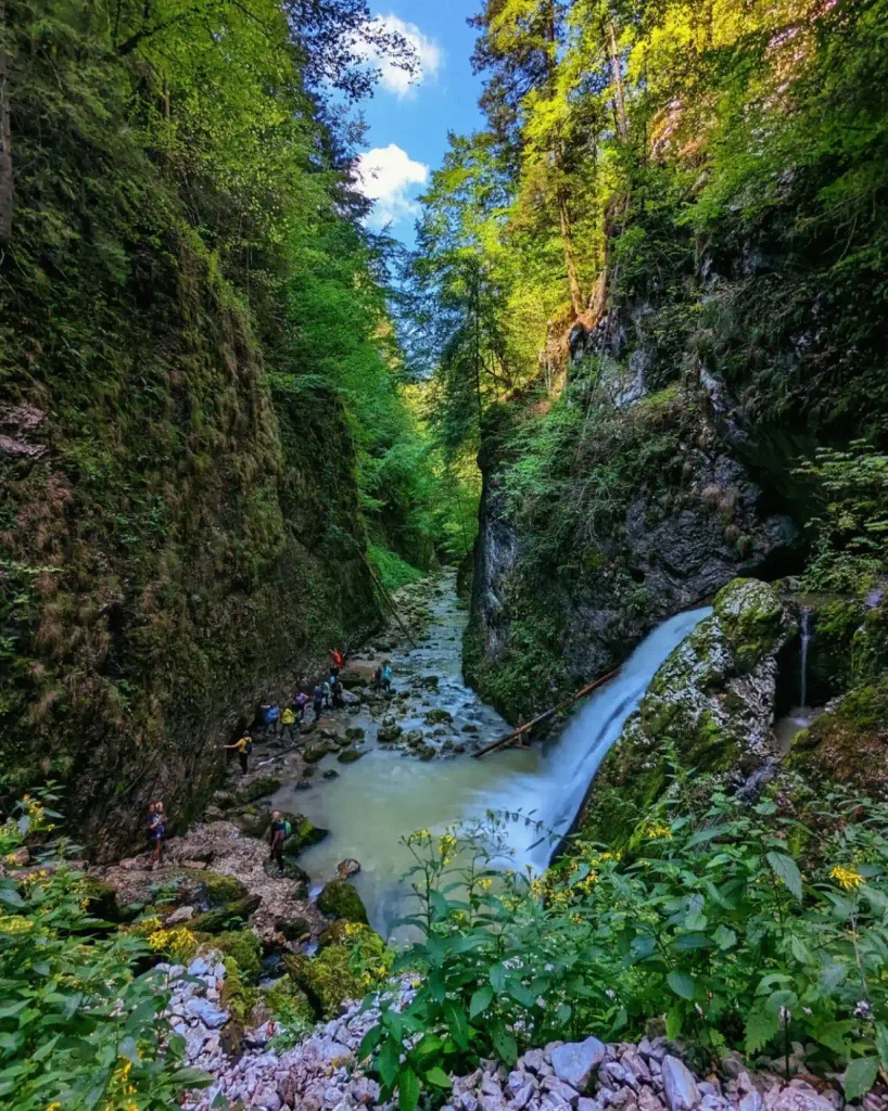 A Guide to Wild Romania: from the Carpathian Mountains to the Danube Delta 7 Cheilegalbenei5