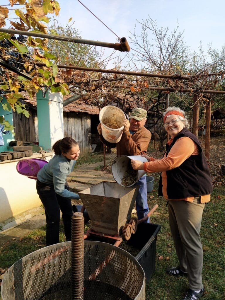 A Guide to Wild Romania: from the Carpathian Mountains to the Danube Delta 8 wine making near Satu Mare