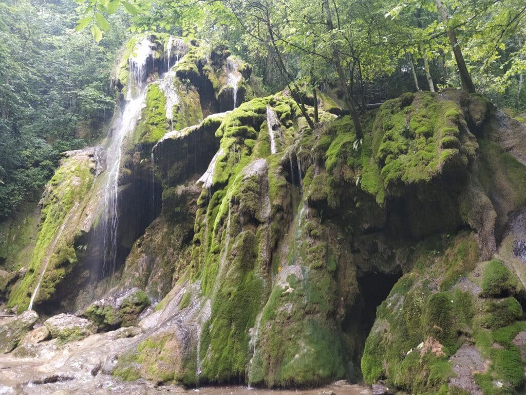 A Guide to Wild Romania: from the Carpathian Mountains to the Danube Delta 13 moss-covered cascades of Beușnița