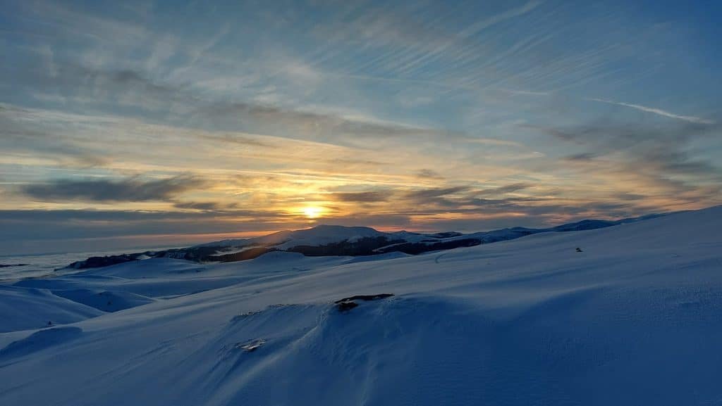 A Guide to Wild Romania: from the Carpathian Mountains to the Danube Delta 21 WhatsApp Image 2026 10 02 at 13.15.22