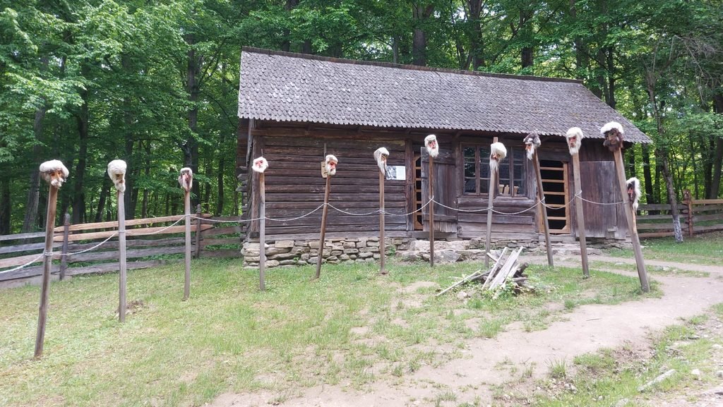 A Guide to Wild Romania: from the Carpathian Mountains to the Danube Delta 26 WhatsApp Image 2026 10 04 at 10.50.21